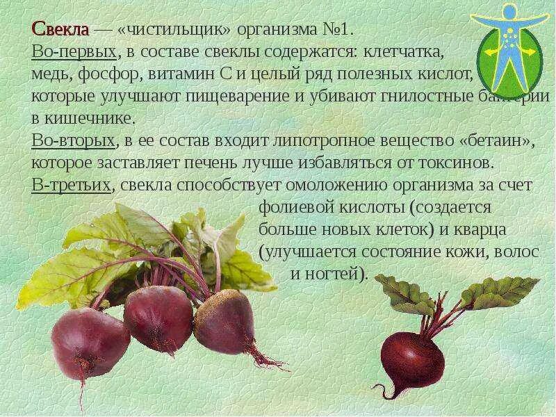 Свекла полезная для организма. Полезная свекла. Чем полезна свекла. Свекла. Чем полезна свекла для организма.