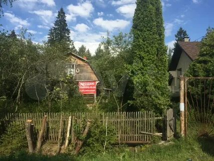 Поселок дом отдыха плесково
