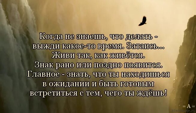 Случайный гость оказался слишком вовремя и в нужном месте