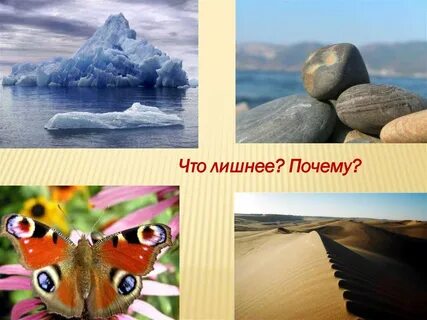 Что не живое мы едим