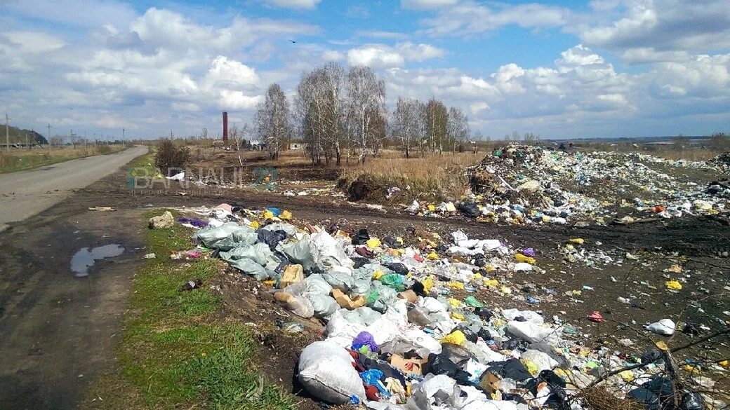 Проблемы экологии Алтайского края. Мусорный полигон Горно Алтайск. Экологическая обстановка в Алтайском крае. Экологическое состояние Алтайского края. Окружающая среда алтайского края