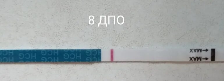 ДПО 7-8 дней. Мамочек на 8 ДПО. 9 ДПО тест. 8 ДПО тест. Тянет низ во время овуляции