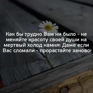 Статусы для души со смыслом