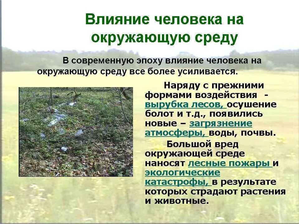 Влияние человека в окружающую среду. Влияние человека в окружающую среду. Конструктивное воздействие человека на природу. Влияние человека на окружающую среду. Влияние человека на экологию.