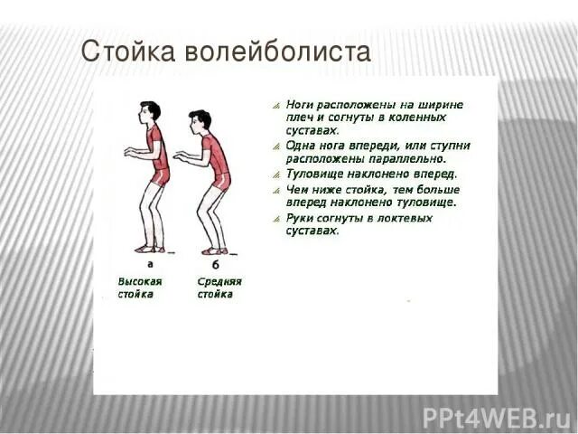 Чем отличается высокая. Стойка волейболиста. Основные стойки волейболиста. Средняя стойка в волейболе. Высокая средняя и низкая стойка в волейболе.