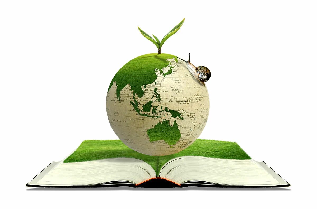Экологическое образование и просвещение. Книги про экологию. Экология на прозрачном фоне. Экология на белом фоне. Книга на прозрачном фоне.