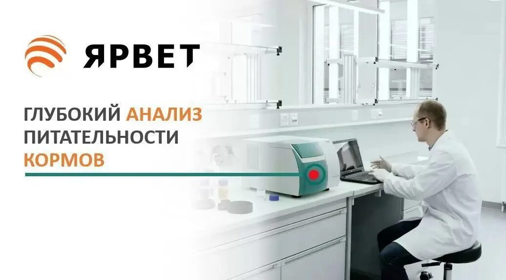 Зоотехнический анализ корма. Лабораторные исследования зерна. Лабораторные исследования пшеницы. Исследование кормов в лаборатории. Исследование кормов в лаборатории.