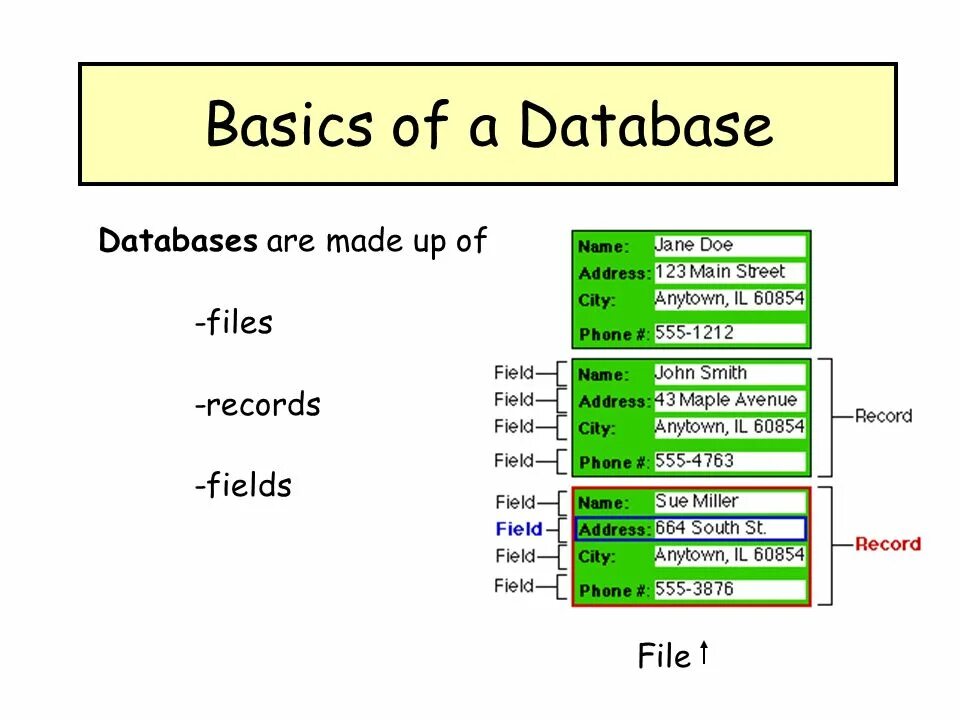 Database Basics. What is database. Database field. Database field and record. Database fields