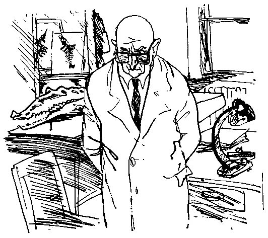 Лев борисович глинский. Лев борисович збарский картины. лев збарский иллюстрации. збарский иллюстрации к олеше. феликс лев збарский иллюстрации.