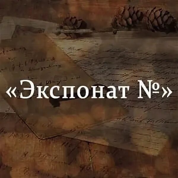 Б Васильев экспонат номер. Васильев экспонат номер иллюстрации.