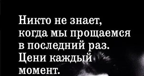 Никто не знает когда мы прощаемся в последний раз. Две судьбы прощались у порога. В последний раз прощаюсь. Никогда не знаешь когда прощаешься в последний раз.