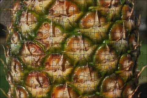 Fruit skin