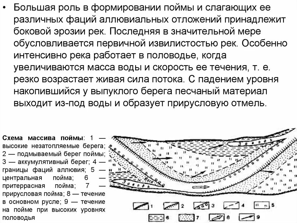 Формирование строение рельеф пойм. Аллювиальные отложения формы рельефа. Старичный аллювий. Речные отложения аллювий. Пойма это простыми словами