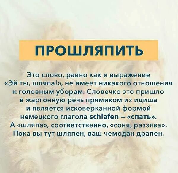Оскомина значение