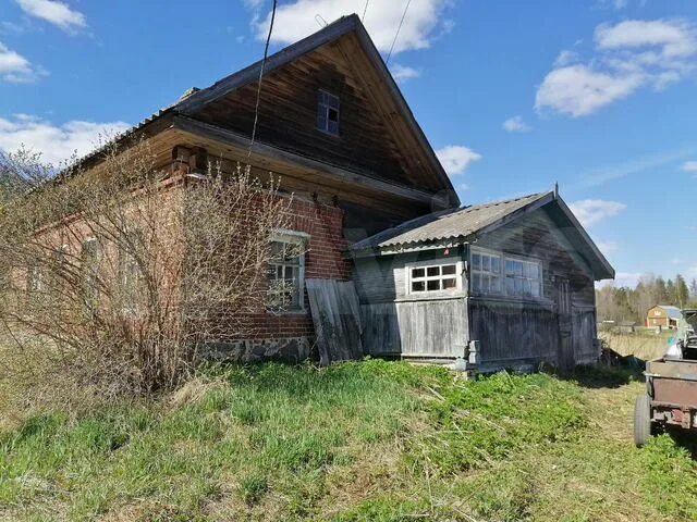 Д Осиновец Боровичский район. Деревня Осиновец Боровичский район Новгородская область. Осиновец Боровичи. Россия, Новгородская область, Боровичский район, деревня Осиновец. Авито боровичи недвижимость купить