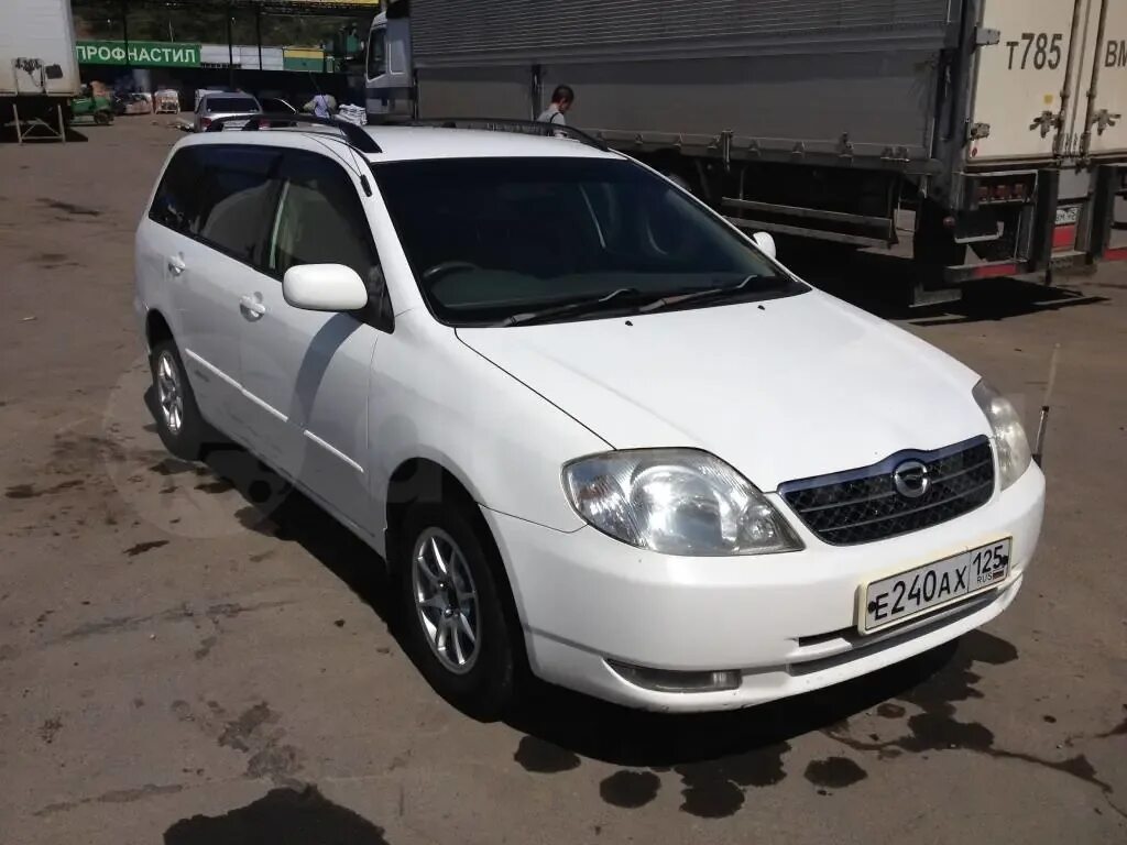 Королла филдер 2001 год. Тойота Королла Филдер 2001. Toyota Corolla Fielder 2001. Тойота Королла Филдер 2001 года. Тойота Филдер 2001г.