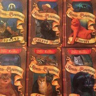 Полночь читать коты