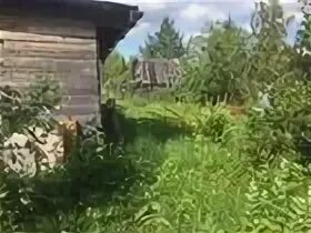 Юла участок