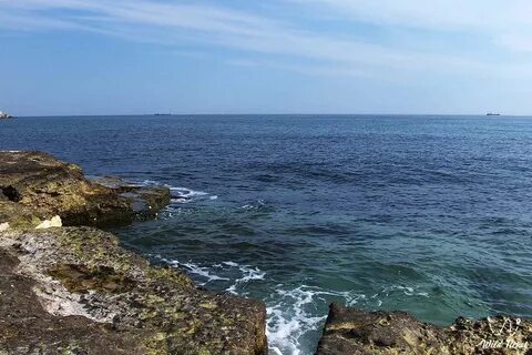 Северный берег каспийского моря