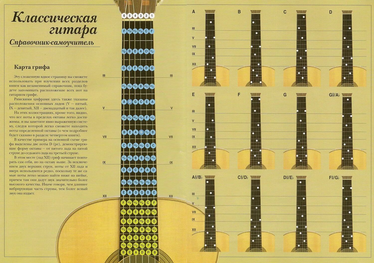 Первая гитара для начинающих. Расположение нот на гитарном грифе 6 струнной. ноты на акустической гитаре 6 струн. расположение нот на гитарном грифе для начинающих.