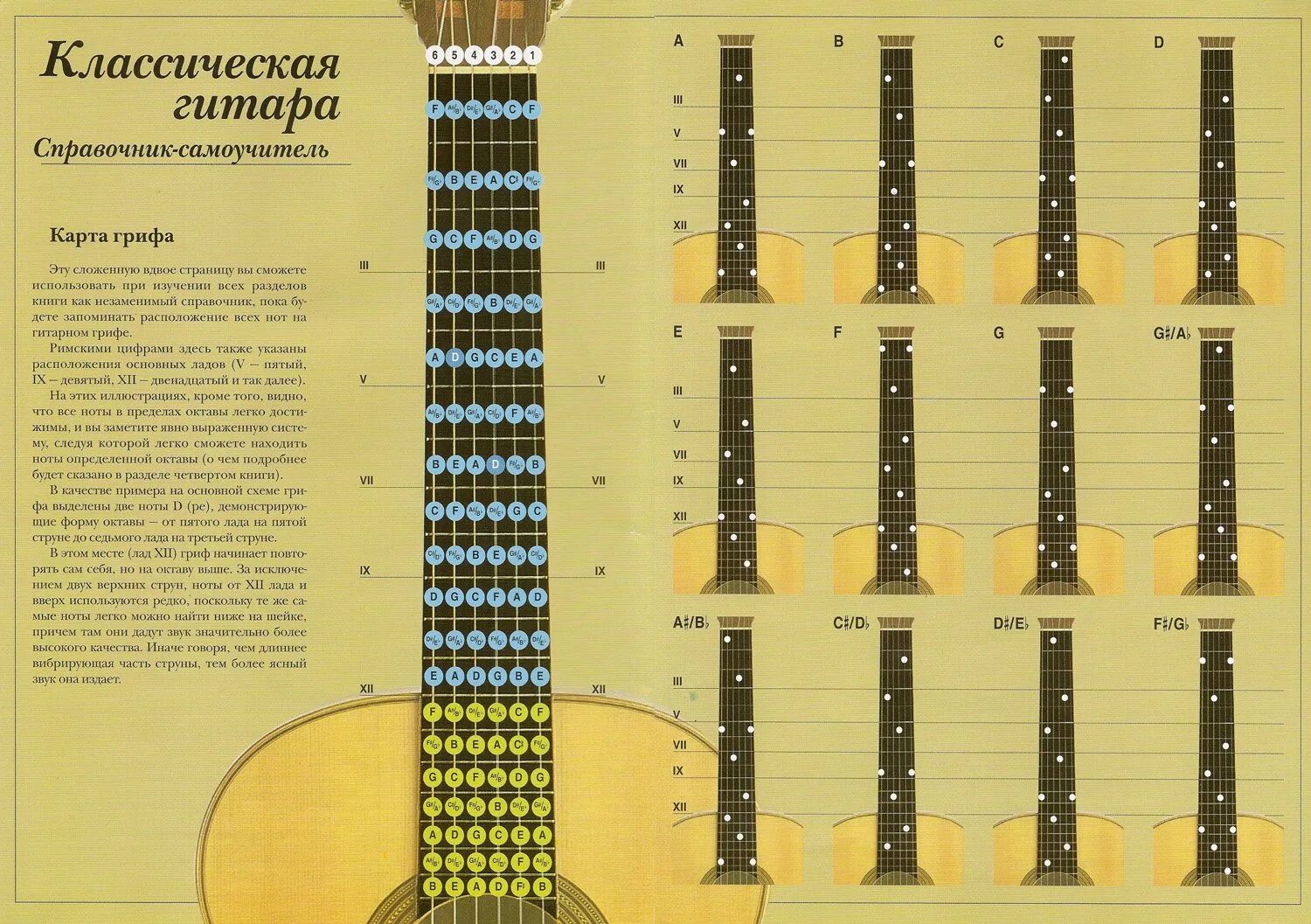 Аккорд октава. Расположение нот на гитарном грифе 6 струнной. Ноты на акустической гитаре 6 струн. Расположение нот на гитарном грифе для начинающих.