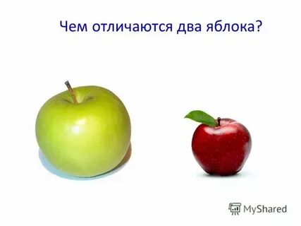 Пара яблок несколько полотенец поезжай