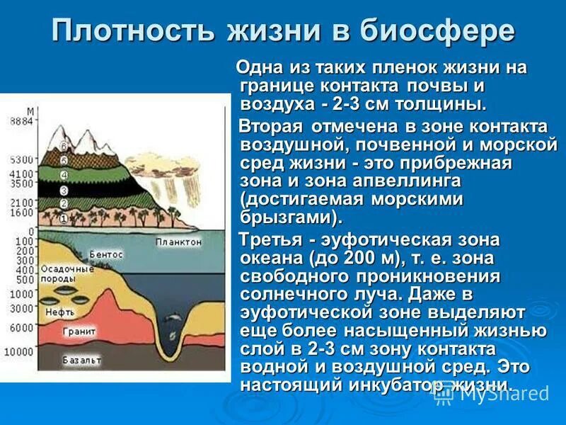 Плотность жизни в океане. Плотность биосферы. Пленка жизни Биосфера. Пленки жизни по Вернадскому.