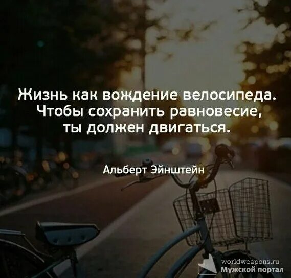 Двигаться чтобы сохранить равновесие. Жизнь как вождение велосипеда. жизнь как велосипед чтобы сохранить равновесие ты должен двигаться. жизнь это как вождение. чтобы сохранить равновесие ты должен двигаться.