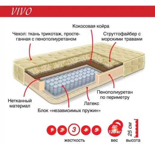 Как правильно писать матрас или матрац словарь. Ортопедический матрас детский в кровать машинку. Матрас или матрац. Матрац или матрас правописание. Разная высота матраса.