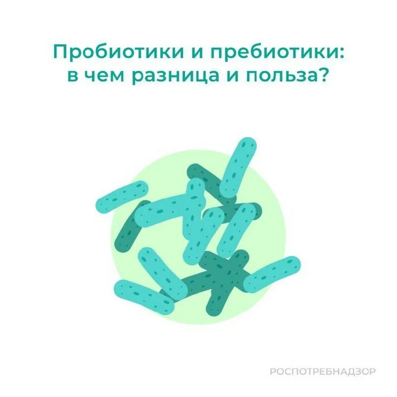 лактобактерии и бифидобактерии. пробиотики для кишечника нормофлорин. пробиотики пребиотики лактобактерии бифидобактерии. пониженные бифидобактерии и лактобактерии. пробиотики классификация.