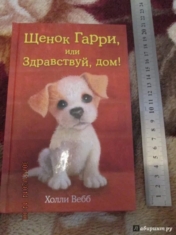 Книга щенок. Холли вебб щенок гарри. щенок гарри или здравствуй дом холли вебб книга. холли вебб книги щенок гарри. здравствуй дом холли вебб.