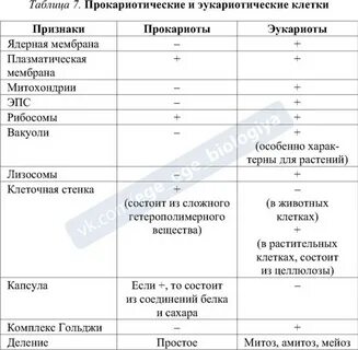 Сравнительная характеристика клетки таблица ответы