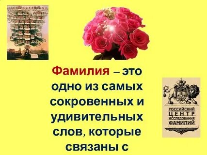 Фамилия род число