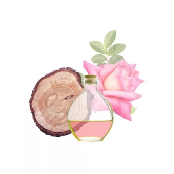 Эфирное масло розового дерева. Розовое дерево в парфюмерии. Розовое дерево древесина эфирные масла. Розовое дерево запах.