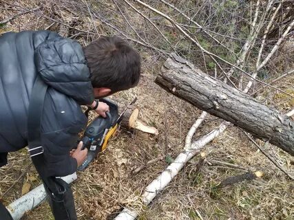Найденные в лесном массиве