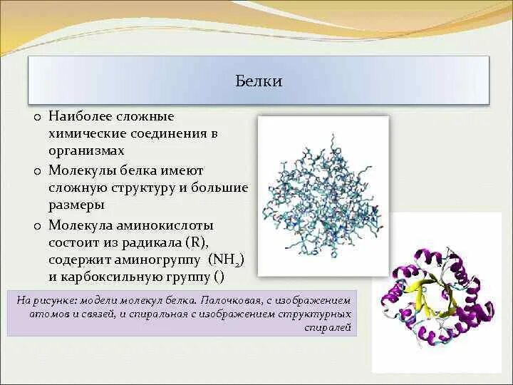 Сложное соединение белков. Самое сложное химическое соединение. Сложную структуру имеет. Наиболее сложной структурой белка является. Размер частицы белка.