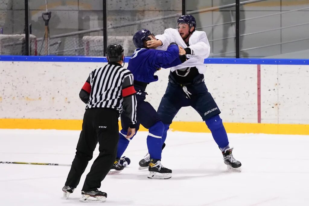 Почему в хоккее драки