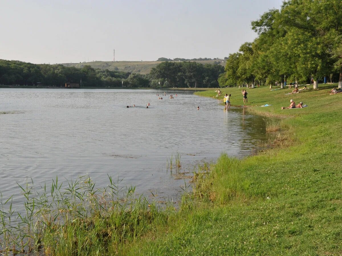 городская роща 2. березовый проезд 2. городская роща 2. тульская область ефремов лесная роща парк. городская роща 2.