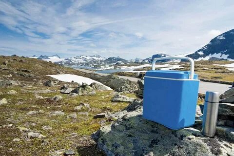 Well cooler