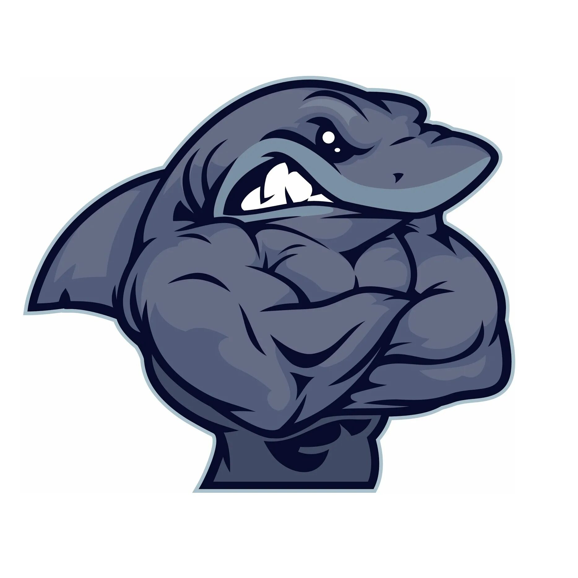 Акула качок. Акула с мускулами. Логотип акула качок. Акула качок рисунок.