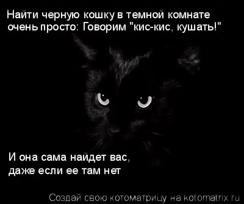 Не ищите черную кошку в черной комнате. Искать кошку в черной. Искать черную кошку в темной комнате. Найти черную кошку в темной комнате. Трудно найти черную.