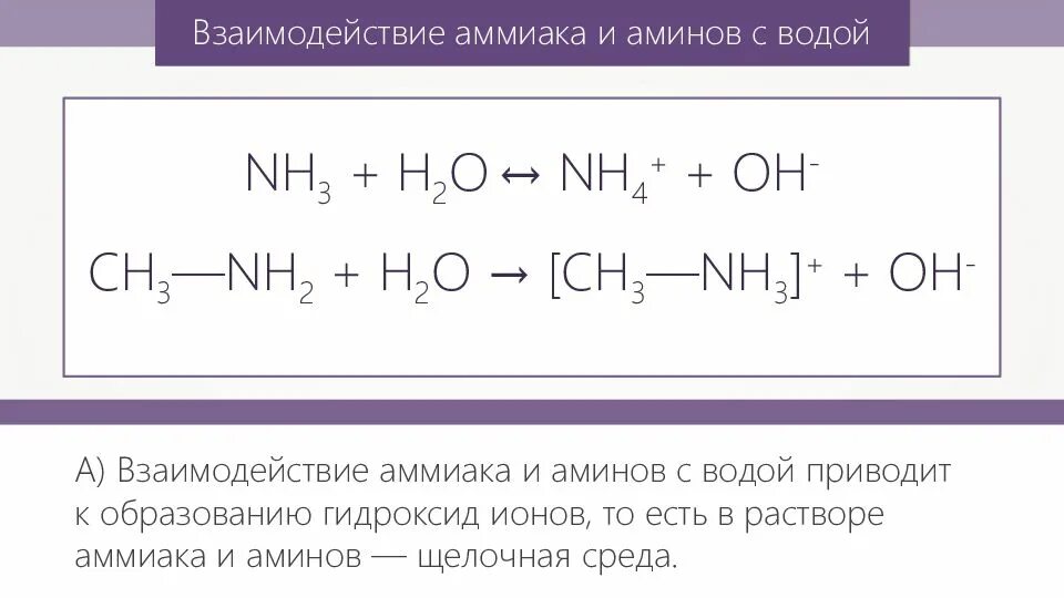 Уравнение реакции взаимодействие метиламина с водой. Взаимодействие с водой с аминами. Реакция Аминов с водой. Взаимодействие Аминов с водой реакция. Реакция взаимодействия аммиака с водой