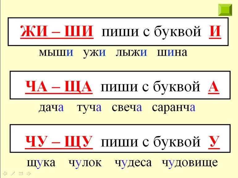 Орфограмма ча ща чу щу