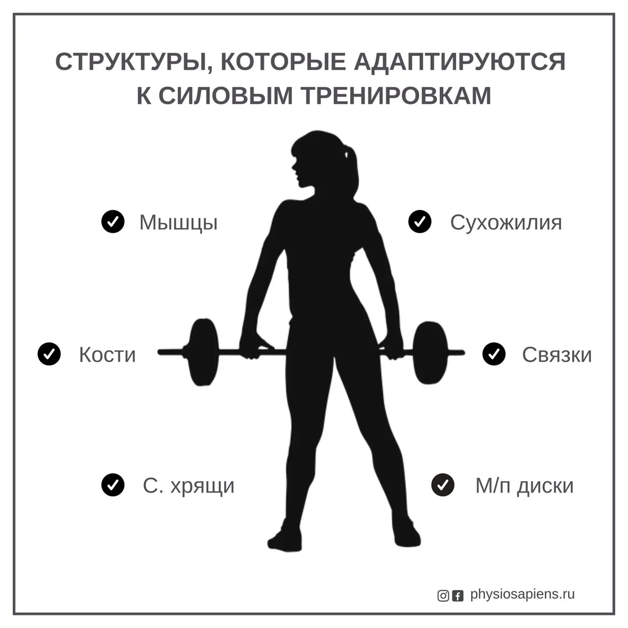 Сколько времени нужно чтобы привыкнуть. Структура тренировки. Структура силовой тренировки. Структура силовых программ. Силовая тренировка упражнения.