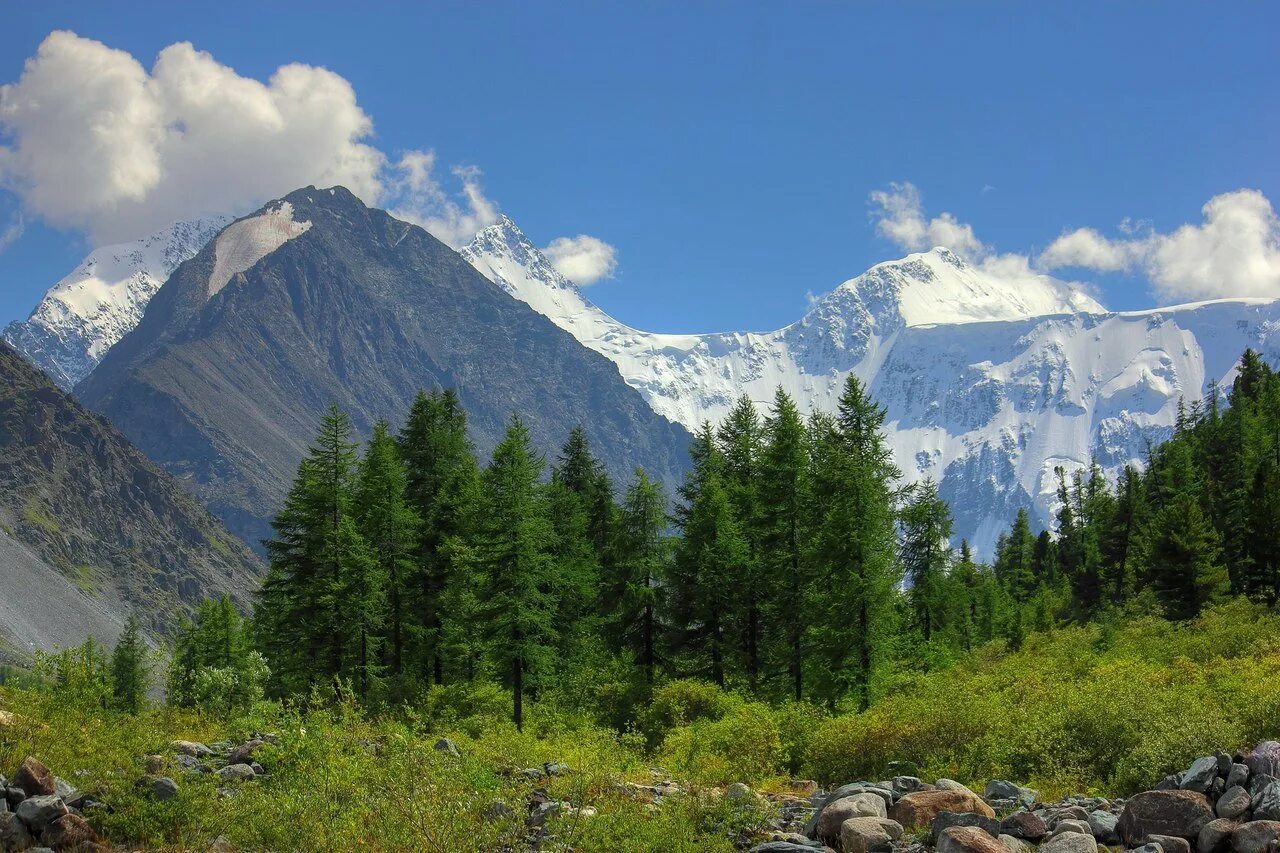 Горы рокис канада. Кордильеры канады. Разнообразие гор. Горы западного кавказа рельеф. Разнообразие гор.