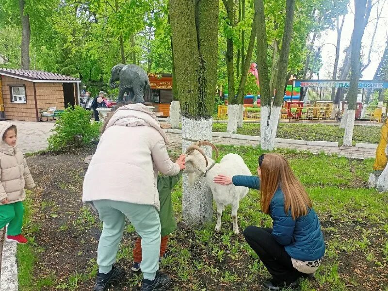 детский зоопарк в парке юрского периода. зоокомплекс три медведя карелия. амурский тигр тигрица с тигрятами. контактный зоопарк в москве. зоопарк пенза крокодил.