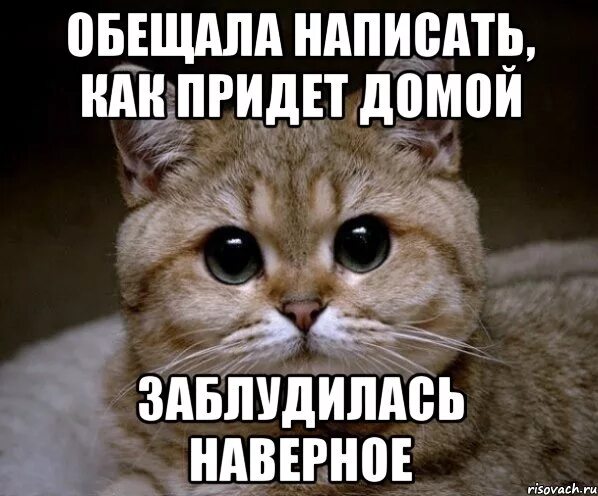 Не пришло как пишется. Напиши мне напиши. Когда пообещали позвонить. Напиши мне напиши мне напиши мне. Будешь дома напиши.