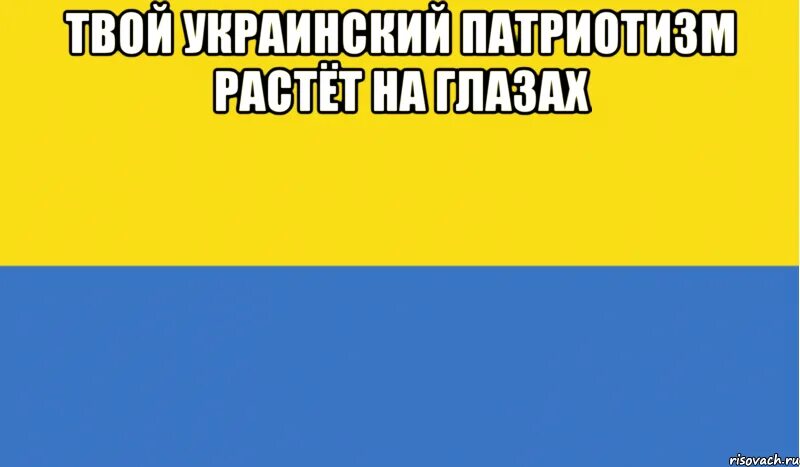 Можно на укр. Мемы про Украину. Украинские мемы. Украинский флаг мемы. Слава Украине флаг.