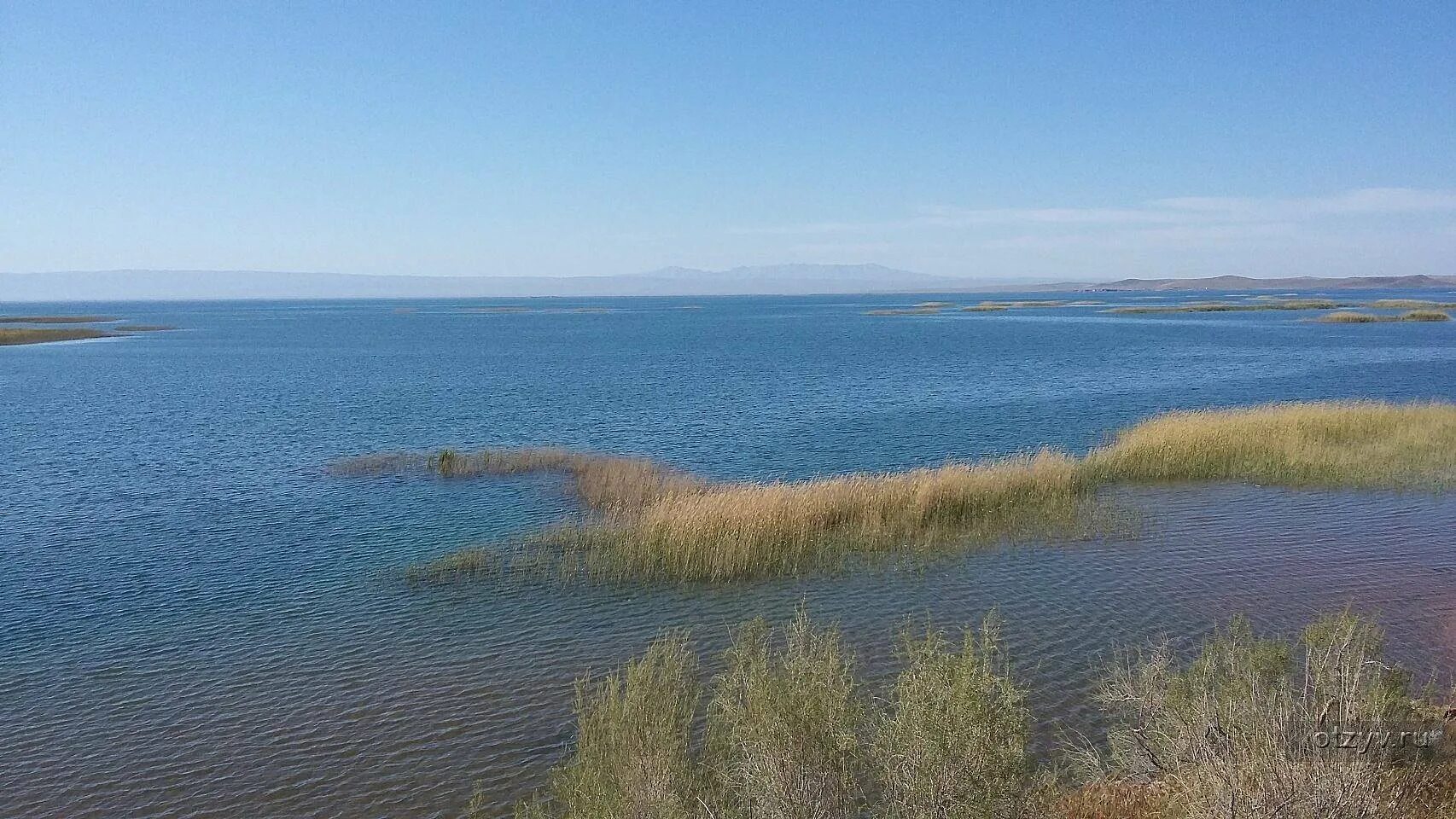 Озеро айдыкуль челябинская. Оз Айдаркуль Узбекистан. Озеро Айдаркуль.