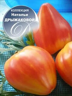 Томат сердце зебры